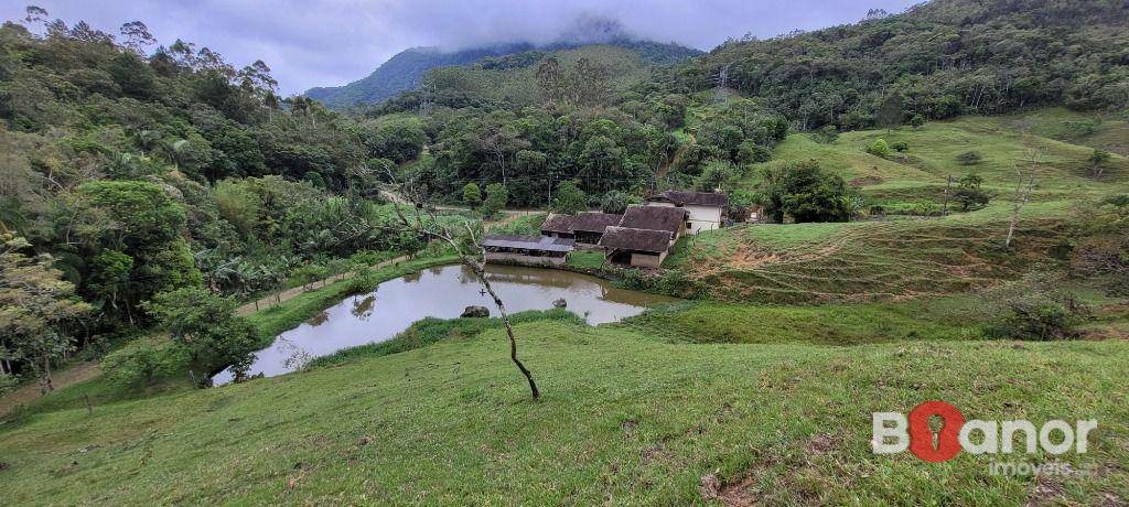 Sítio à venda com 4 quartos, 600m² - Foto 64