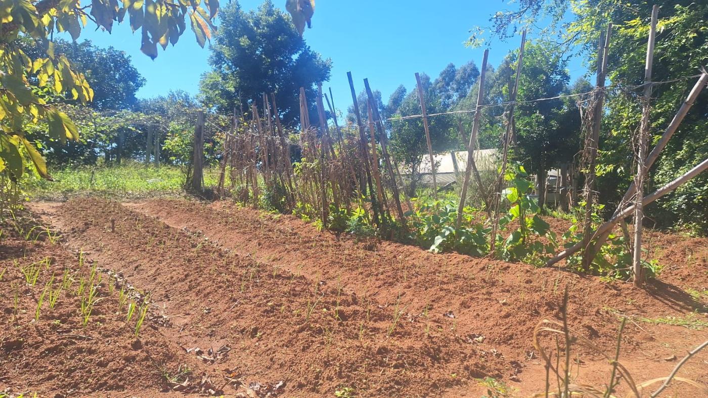 Fazenda à venda com 3 quartos - Foto 16