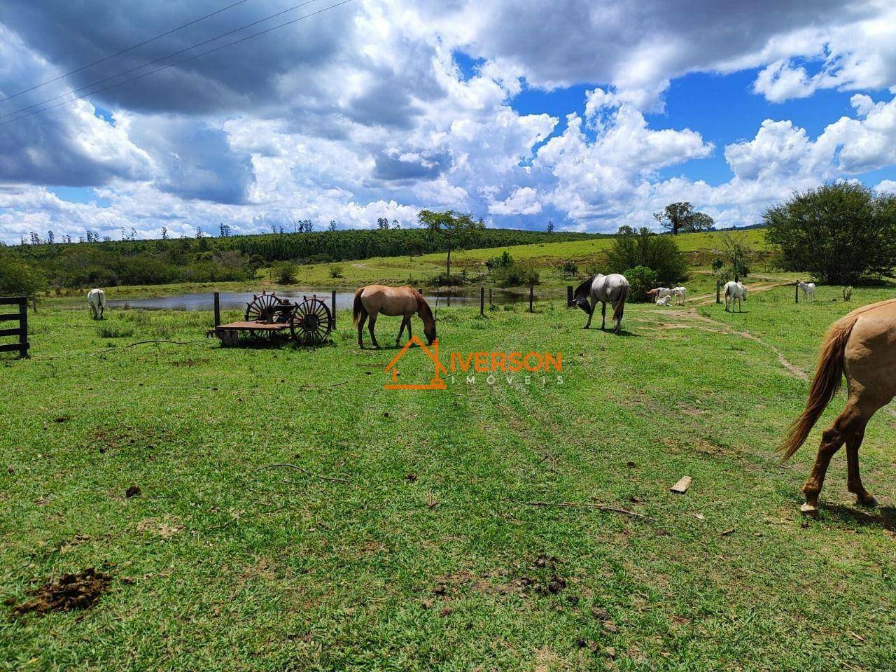 Fazenda à venda com 6 quartos, 1000m² - Foto 2