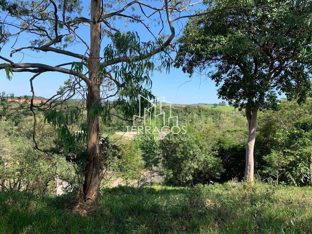 Loteamento e Condomínio à venda, 5000M2 - Foto 8