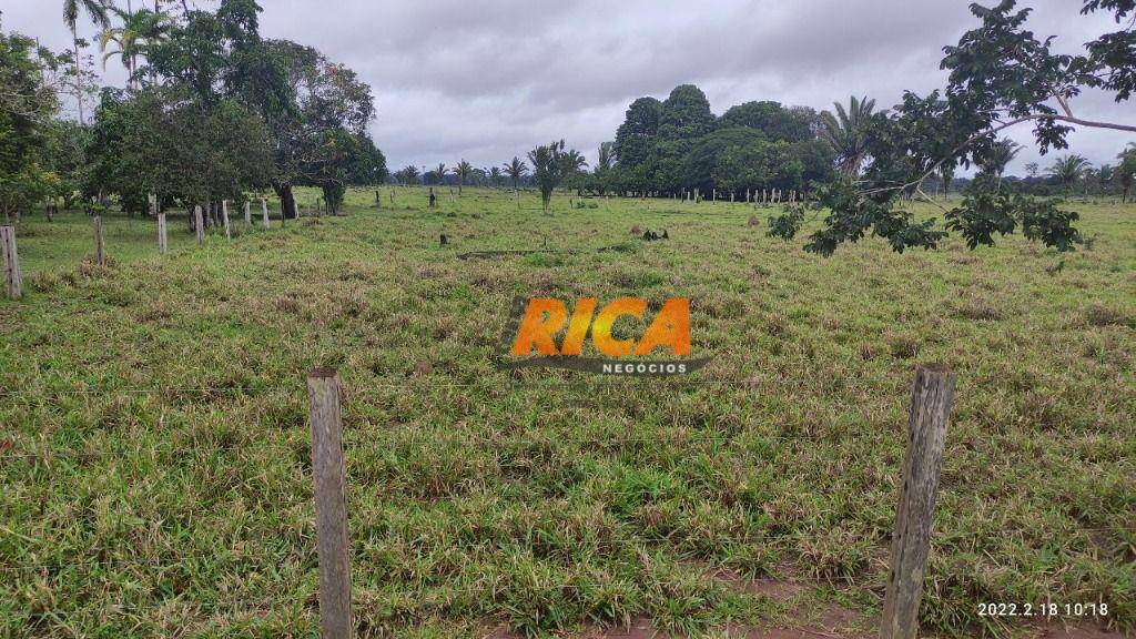 Fazenda à venda, 1790000M2 - Foto 5