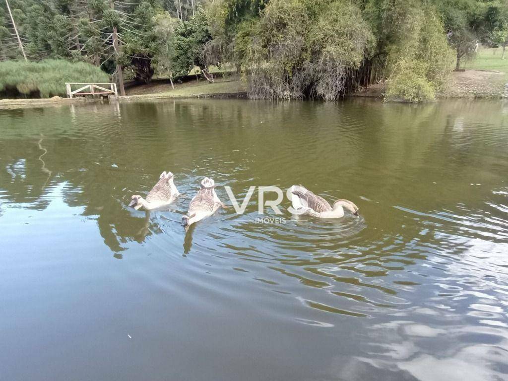 Loteamento e Condomínio à venda, 600M2 - Foto 12