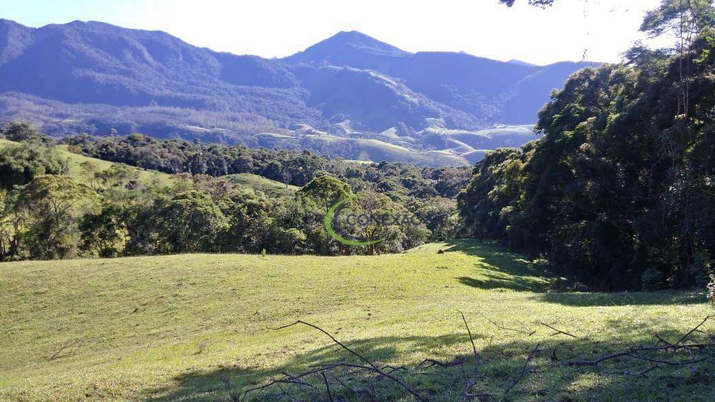 Fazenda à venda com 3 quartos, 2970000M2 - Foto 34