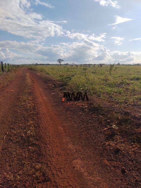 Fazenda à venda, 38329412M2 - Foto 8