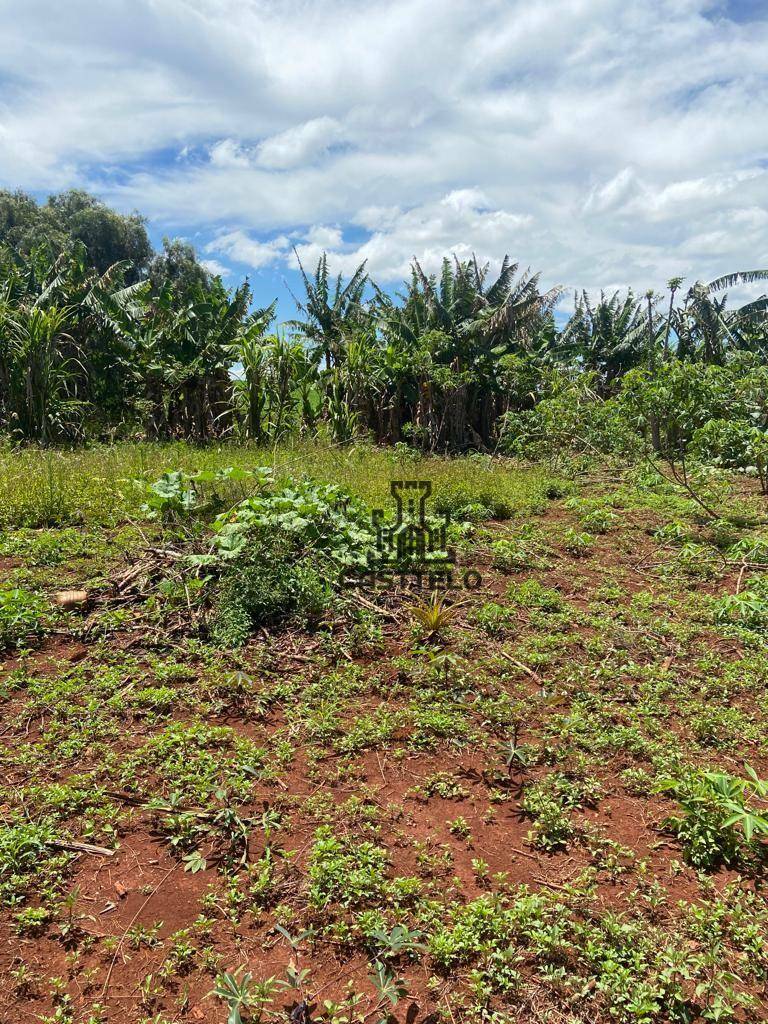 Chácara à venda com 5 quartos, 1300M2 - Foto 12