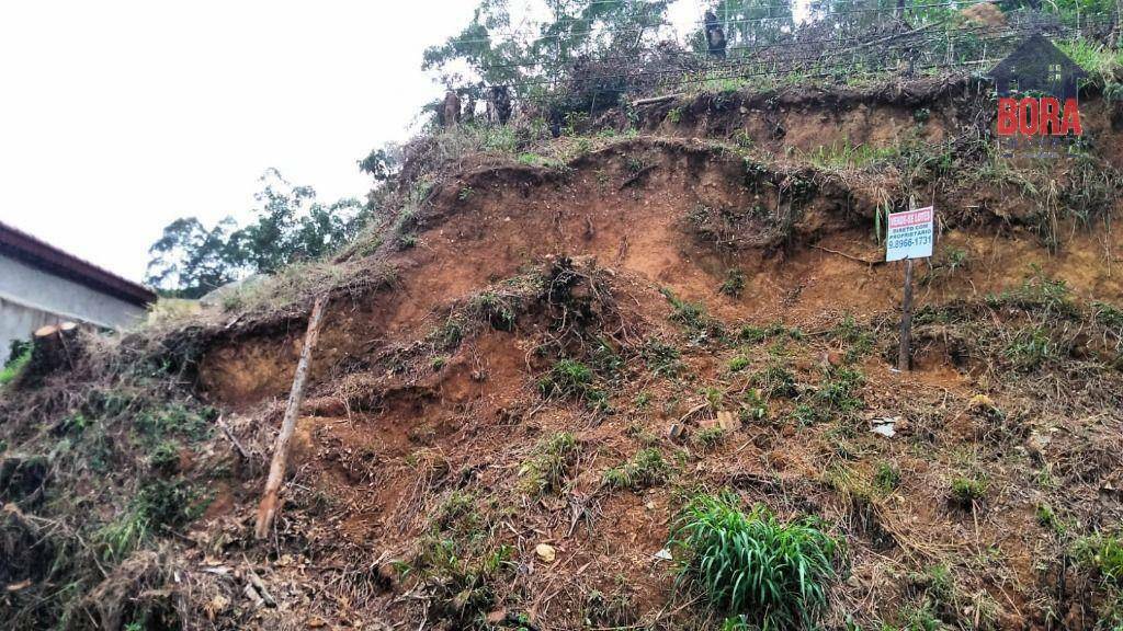 Terreno à venda, 590M2 - Foto 3