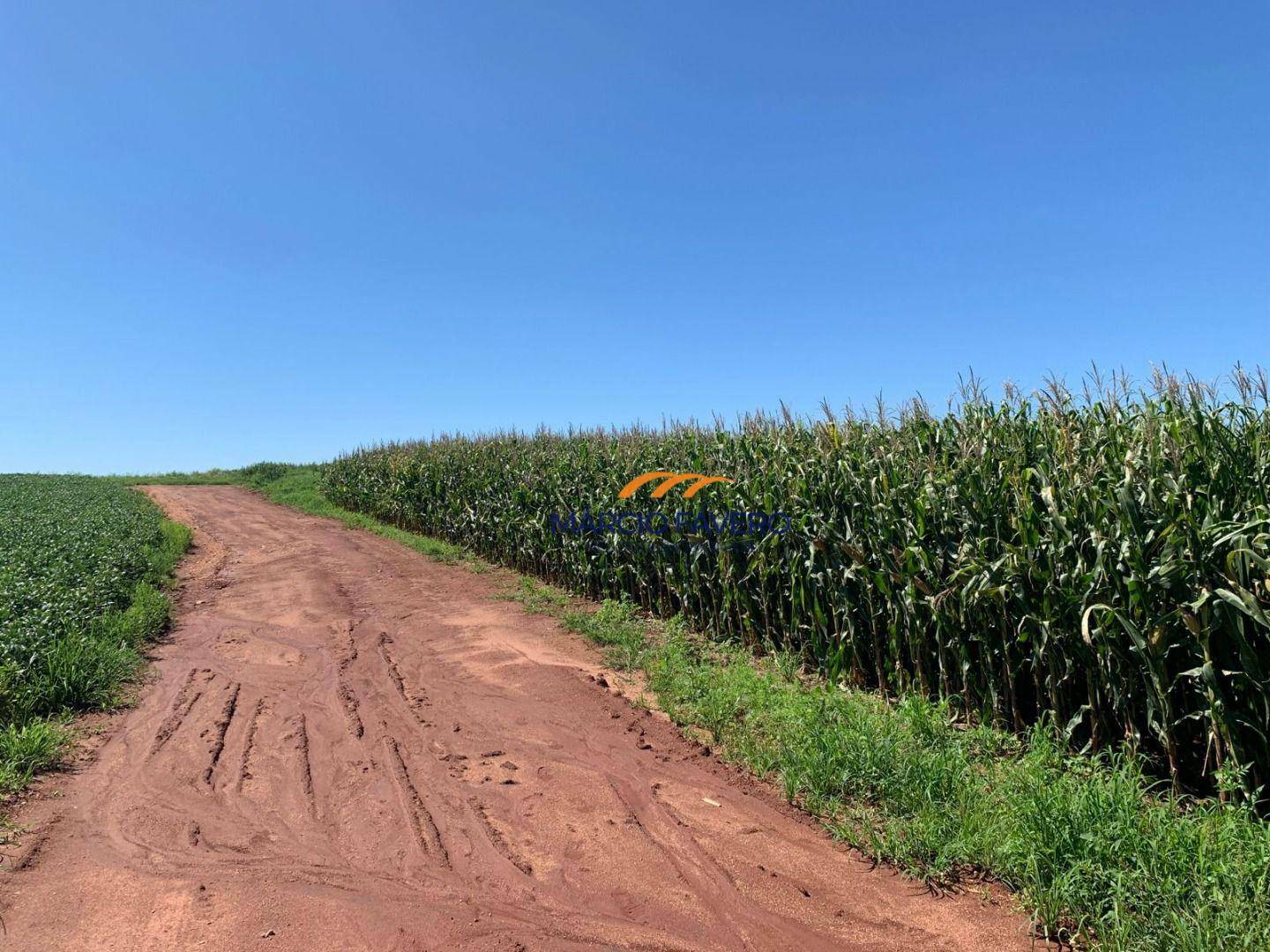 Fazenda à venda, 2565200M2 - Foto 6