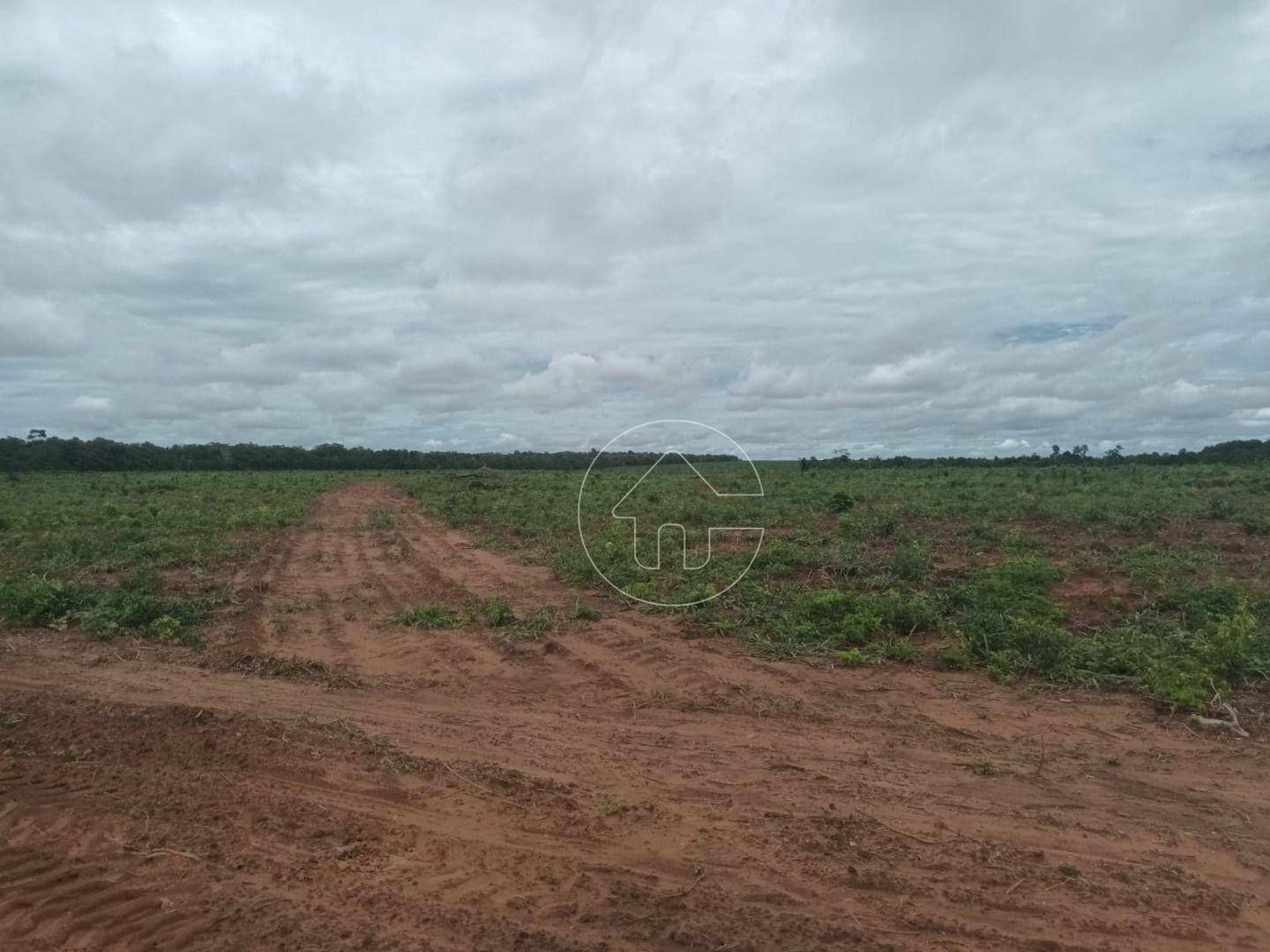 Fazenda à venda, 92830000M2 - Foto 8