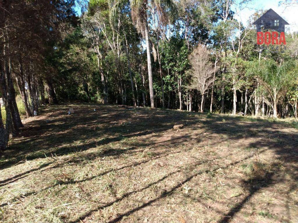 Terreno à venda, 1500M2 - Foto 2