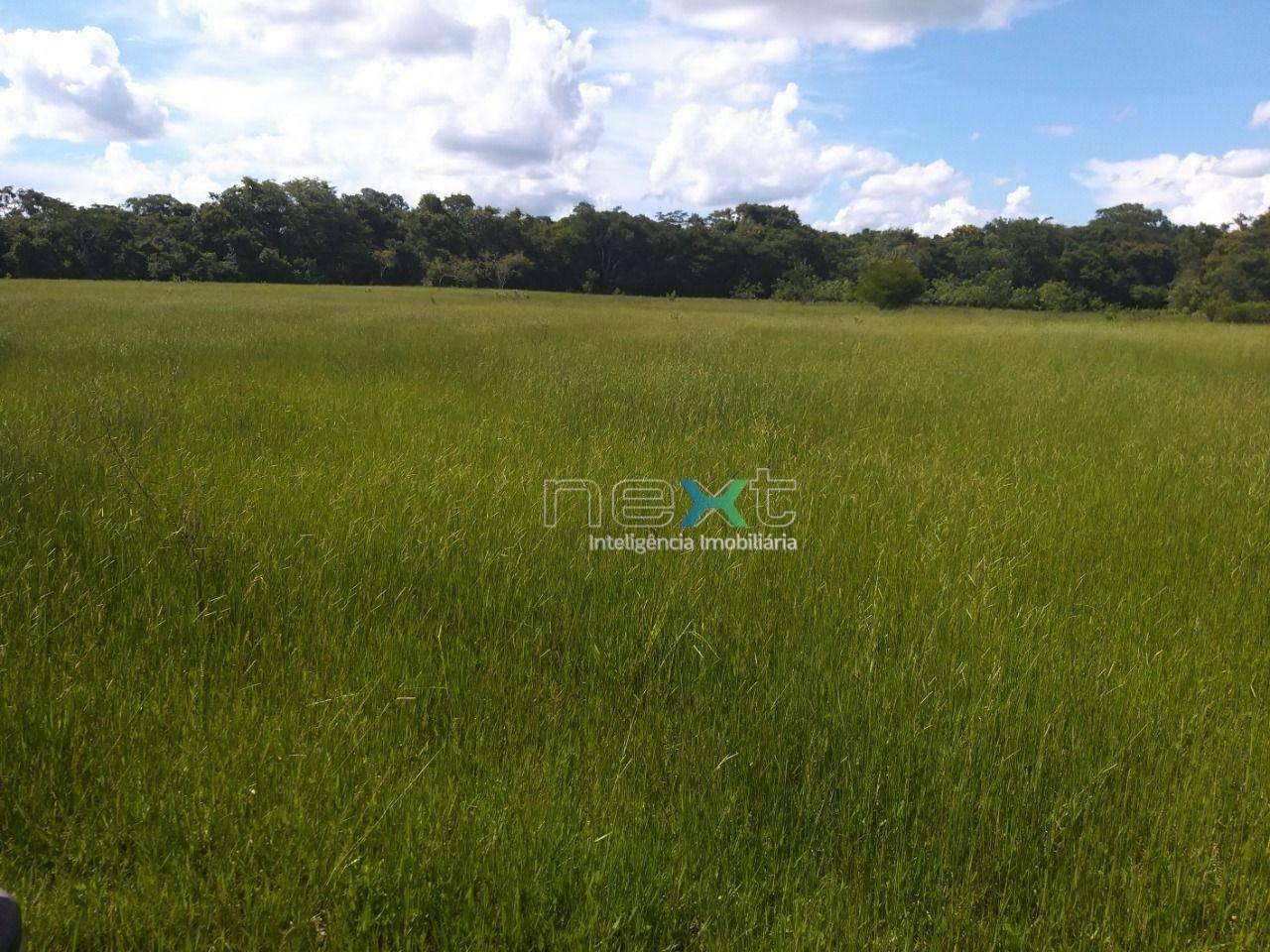Fazenda à venda com 4 quartos, 430000M2 - Foto 24