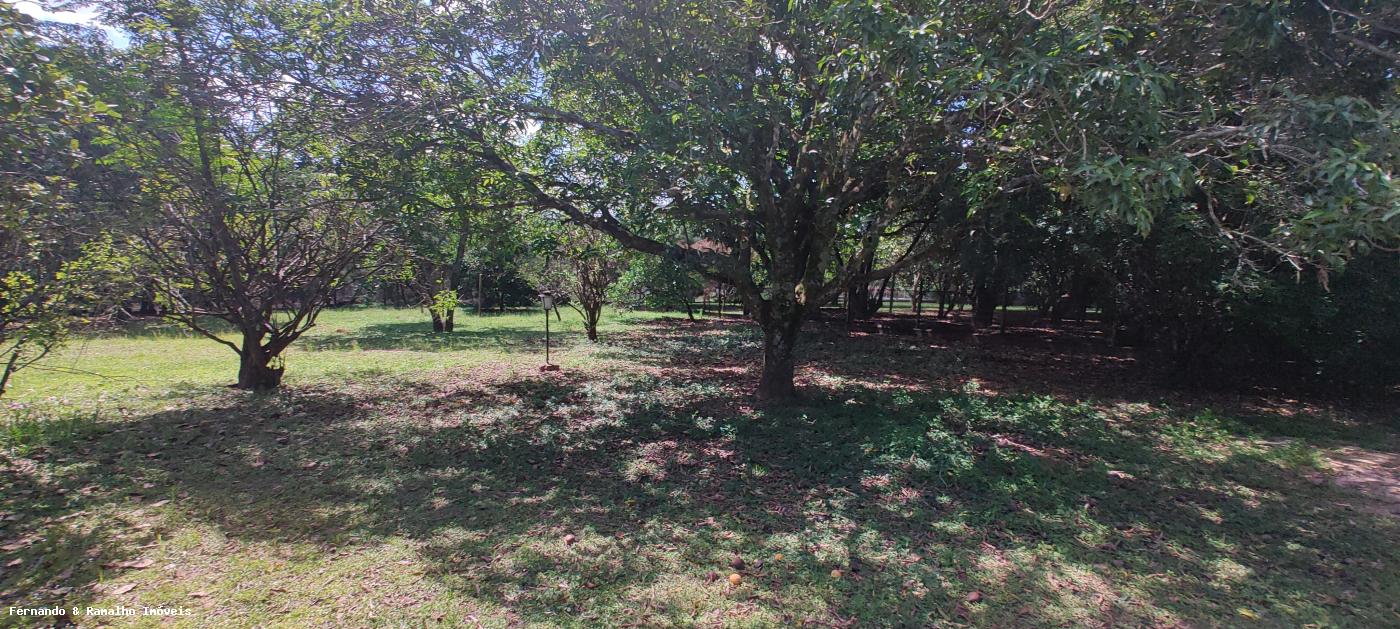 Fazenda à venda com 5 quartos, 5000m² - Foto 32