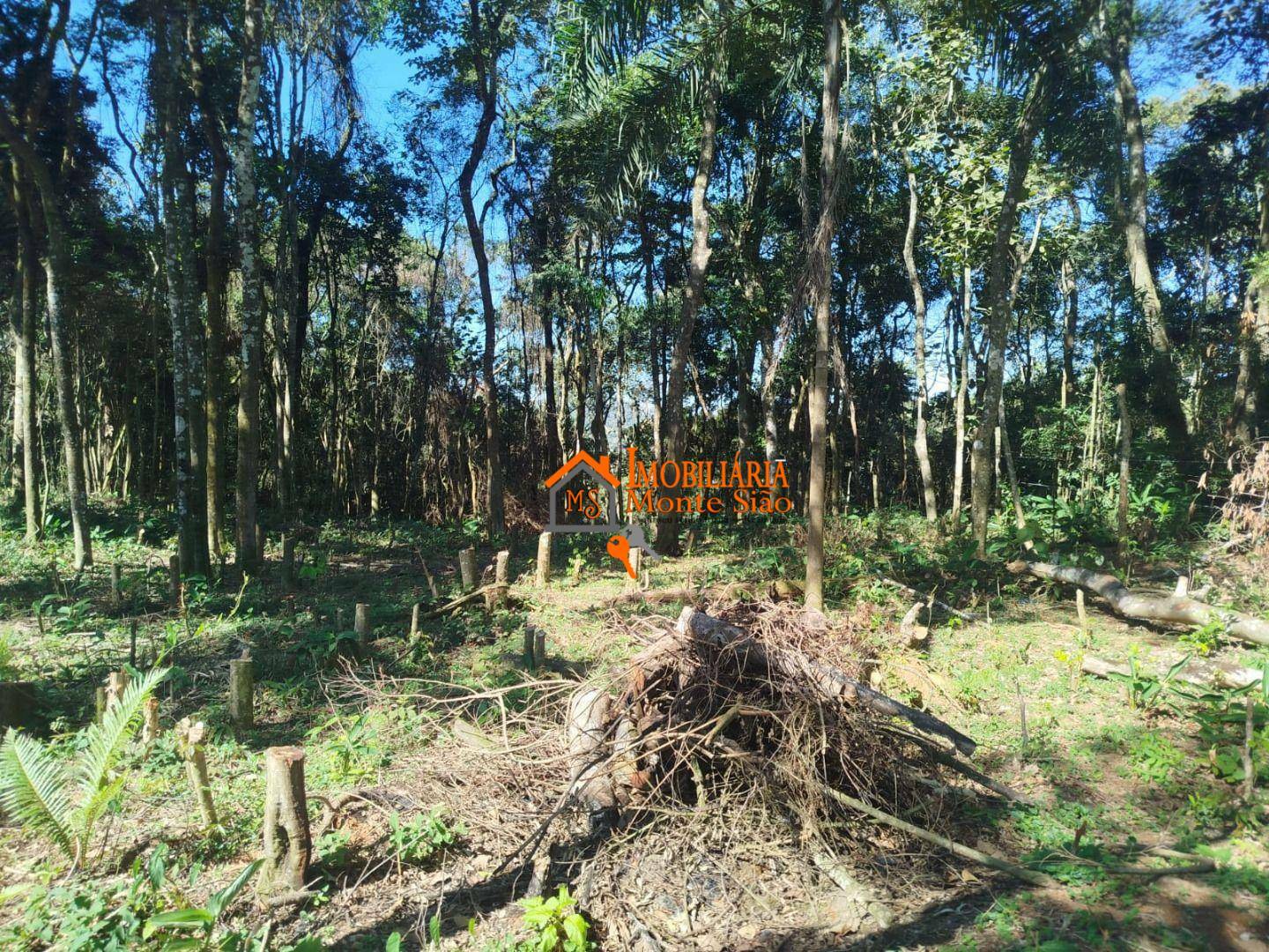 Terreno à venda, 3068M2 - Foto 3
