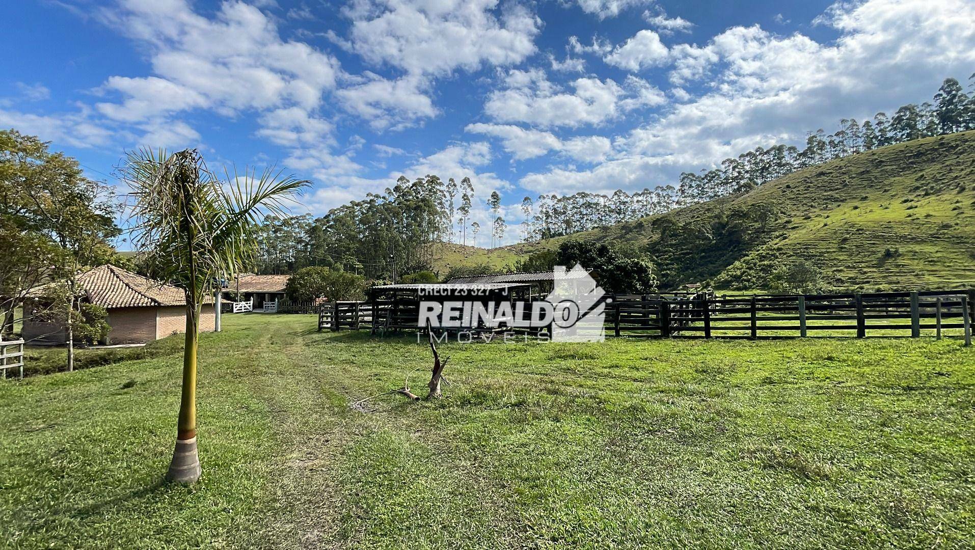 Fazenda à venda com 8 quartos, 900m² - Foto 104