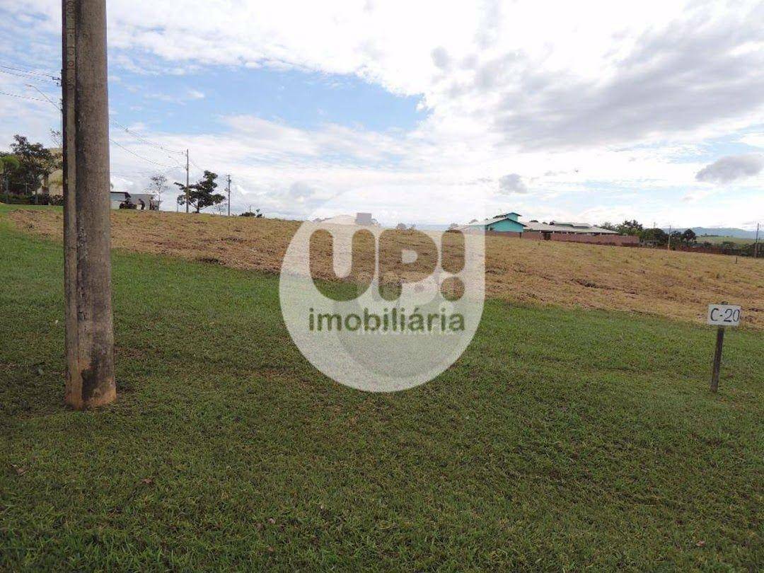 Loteamento e Condomínio à venda, 1000M2 - Foto 6