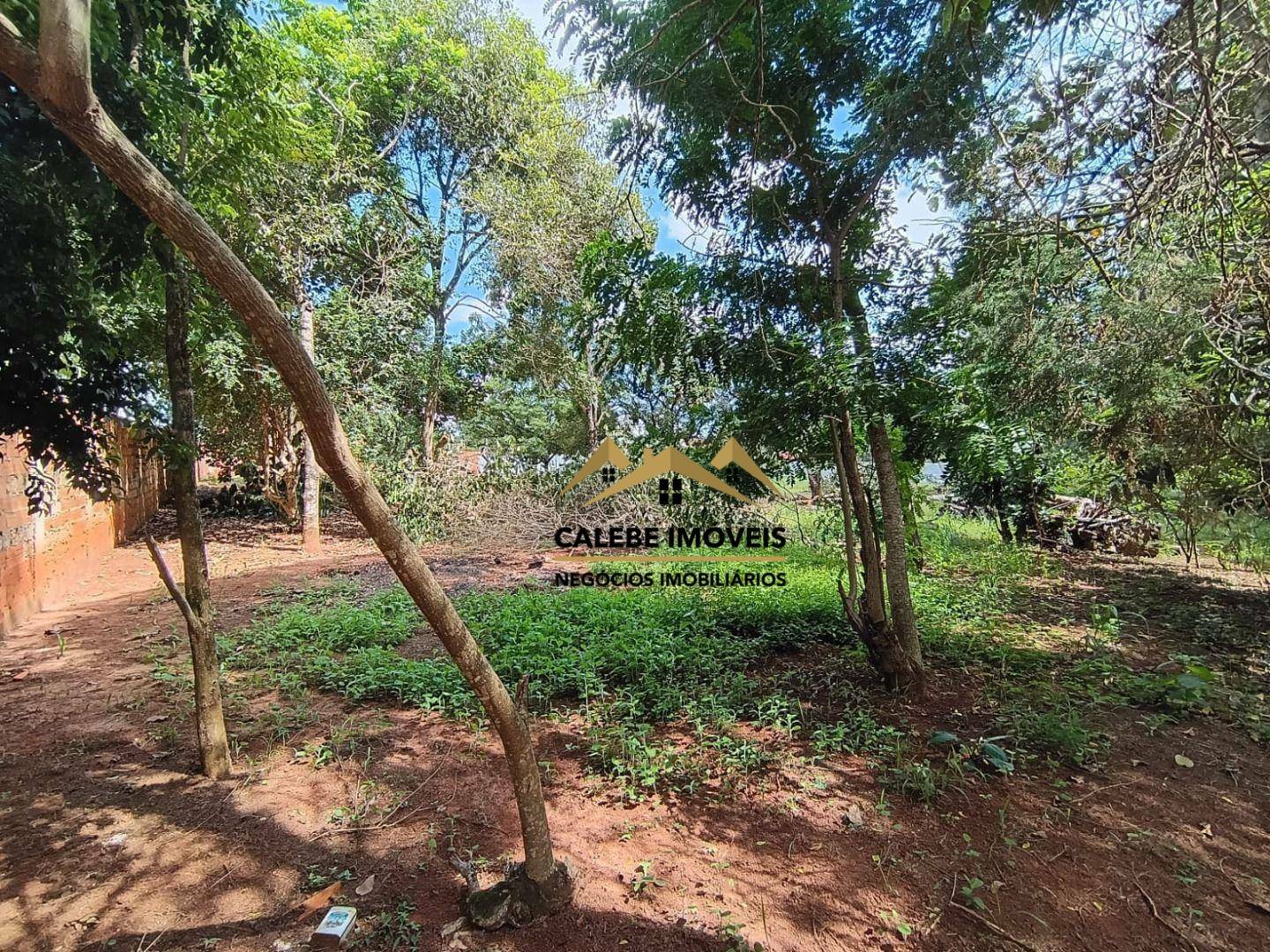 Terreno, 1000 m² - Foto 1