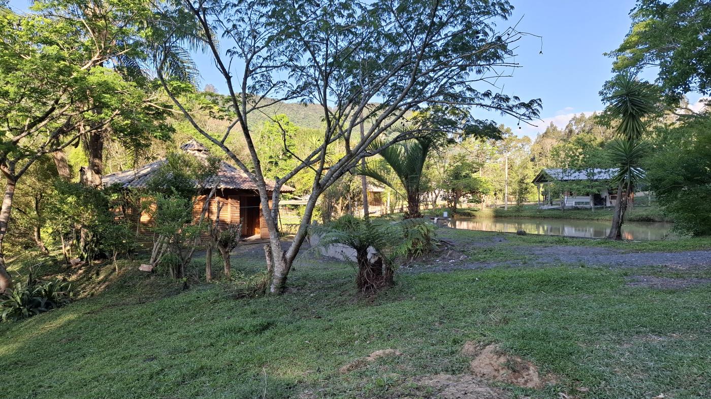 Fazenda à venda com 2 quartos, 8000m² - Foto 9