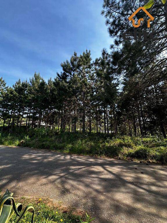 Terreno, 3001 m² - Foto 2