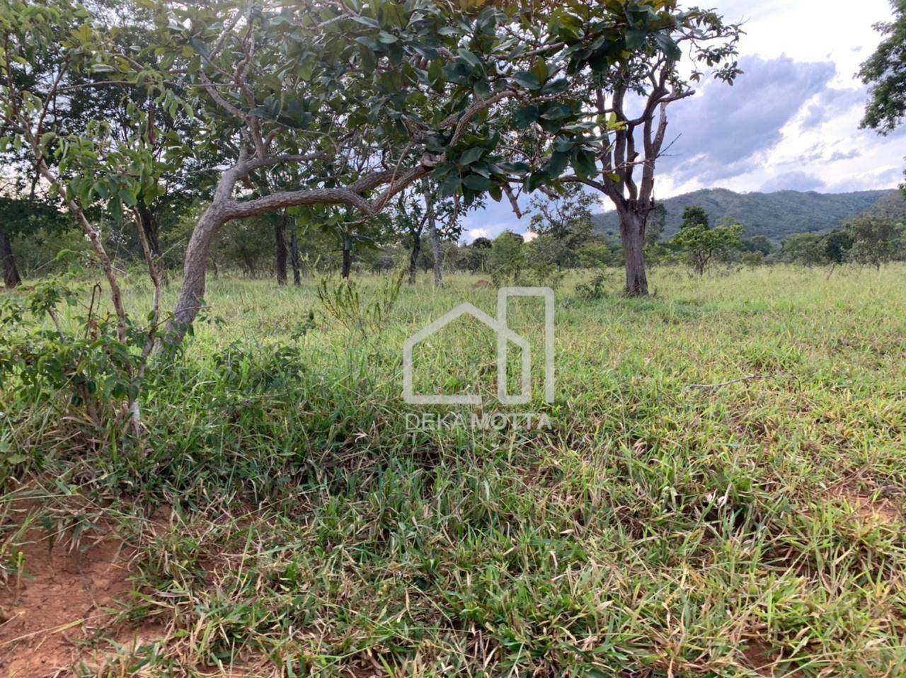 Fazenda à venda com 3 quartos, 21217700000M2 - Foto 22