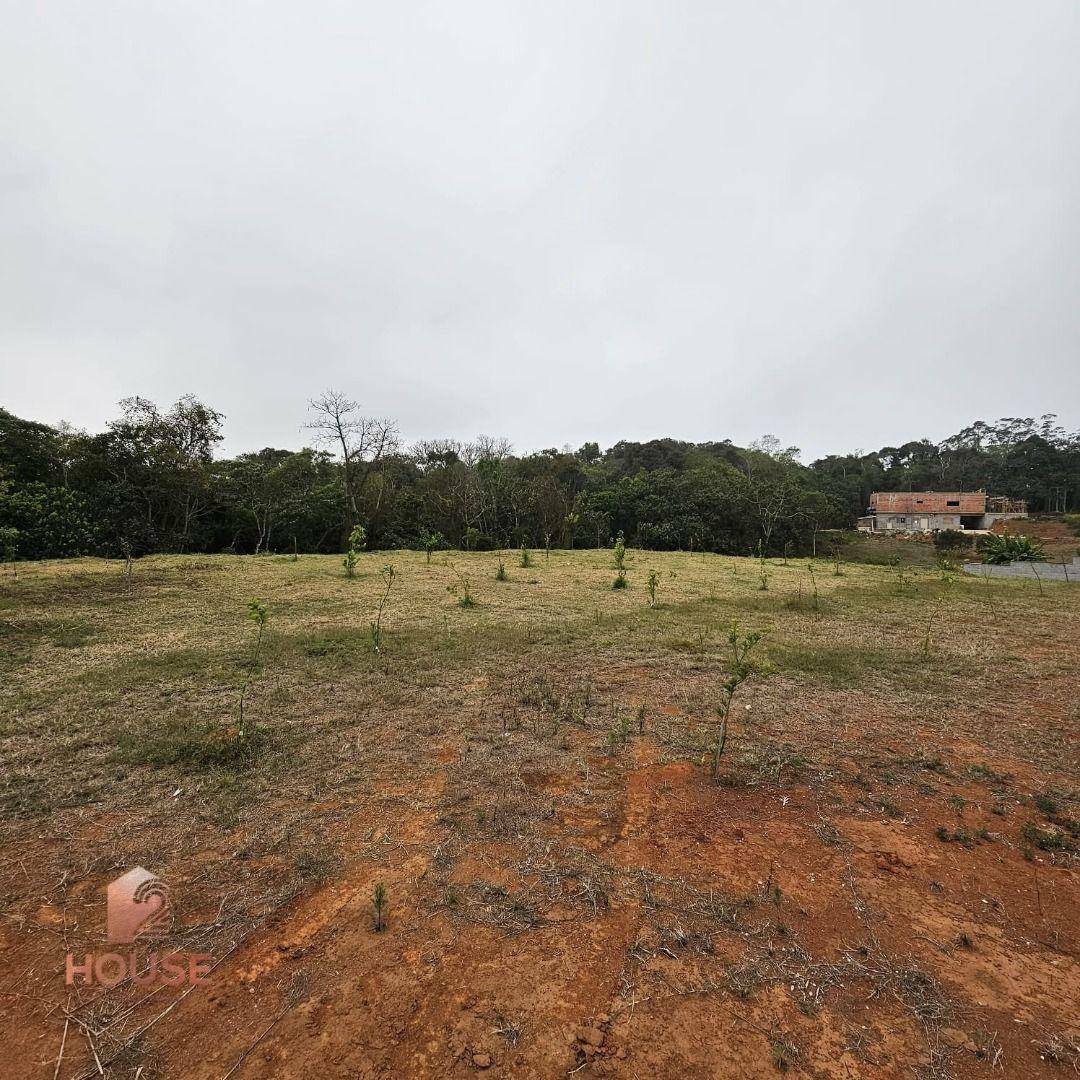 Chácara à venda com 3 quartos, 25000M2 - Foto 14