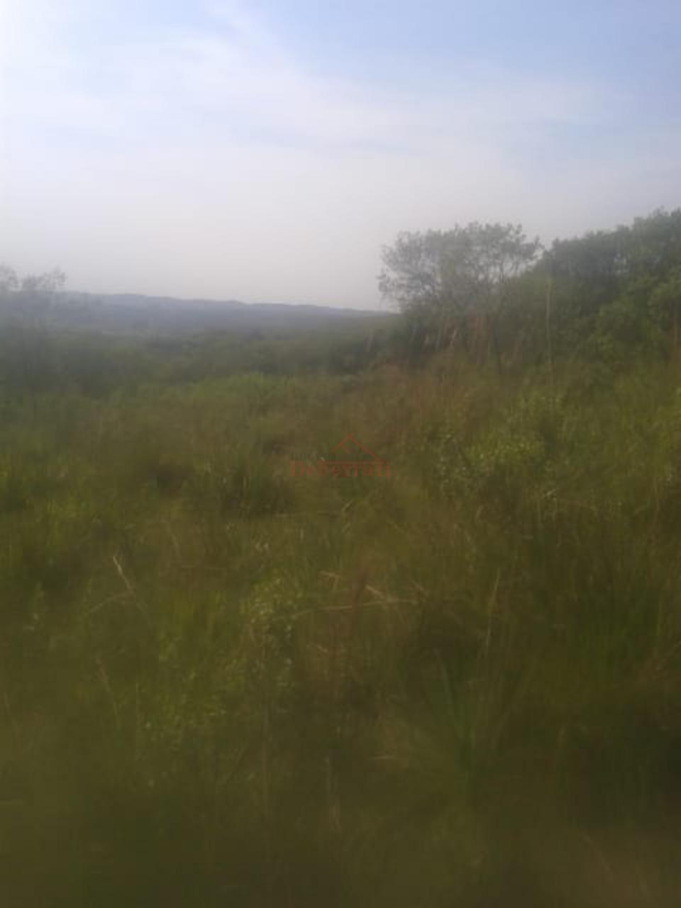 Fazenda-Sítio-Chácara - Foto 14