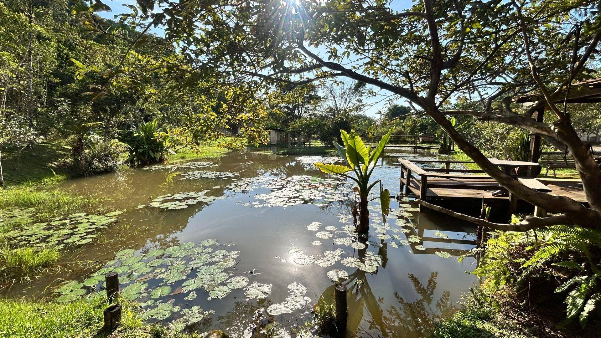 Sítio, 24 m² - Foto 4