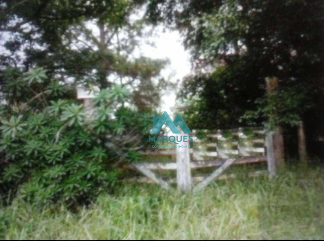 Terreno à venda, 7200M2 - Foto 12