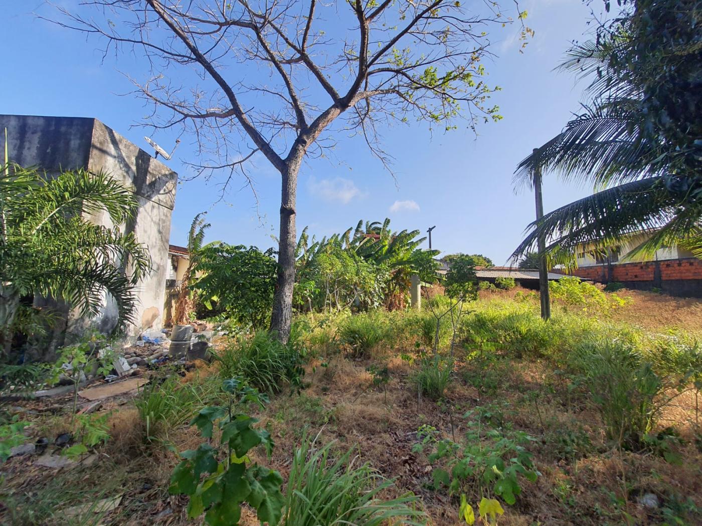 Terreno à venda, 2115m² - Foto 8