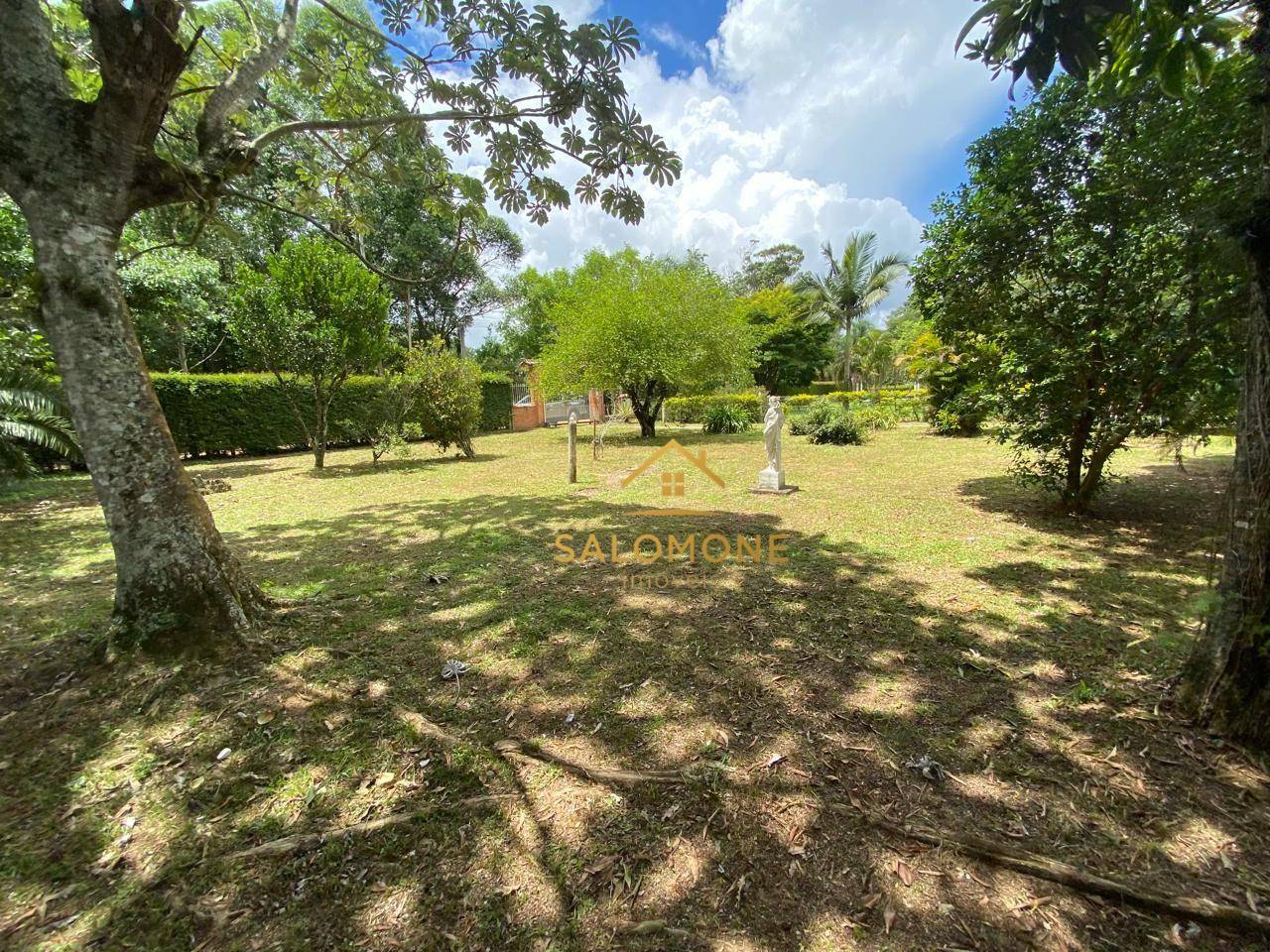 Sítio, 3 quartos, 6000 m² - Foto 5