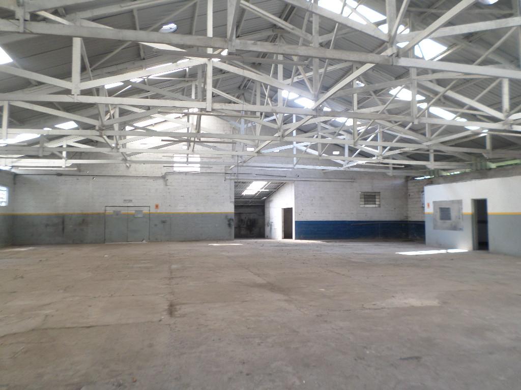 Depósito-Galpão-Armazém à venda, 810m² - Foto 4