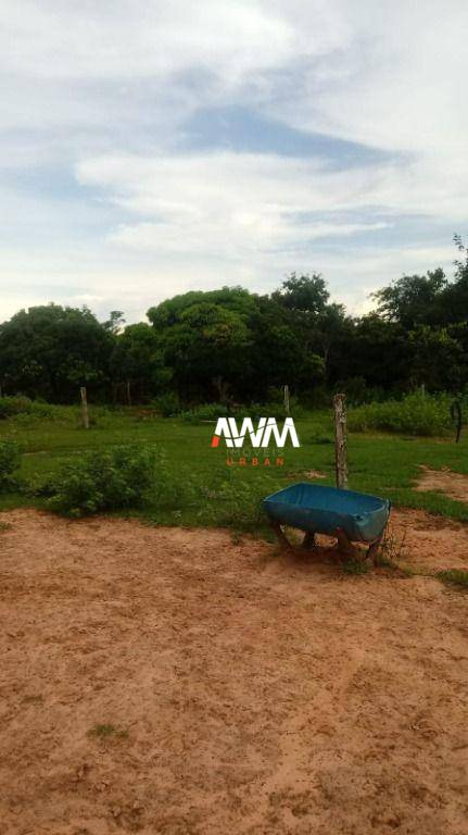 Fazenda, 600 hectares - Foto 6