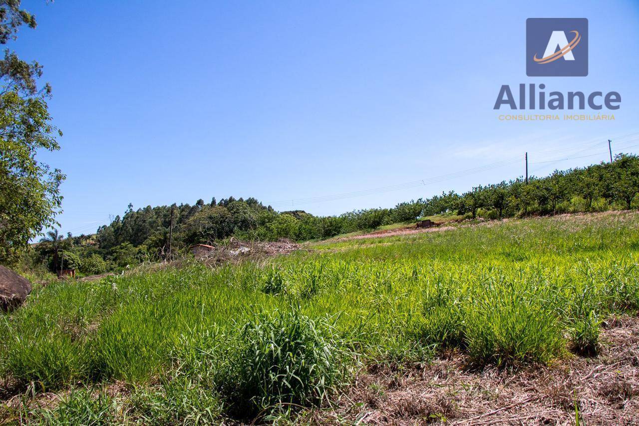 Sítio, 6 hectares - Foto 4