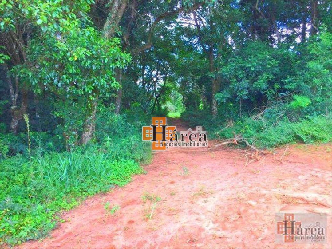 Sítio à venda, 121000M2 - Foto 15