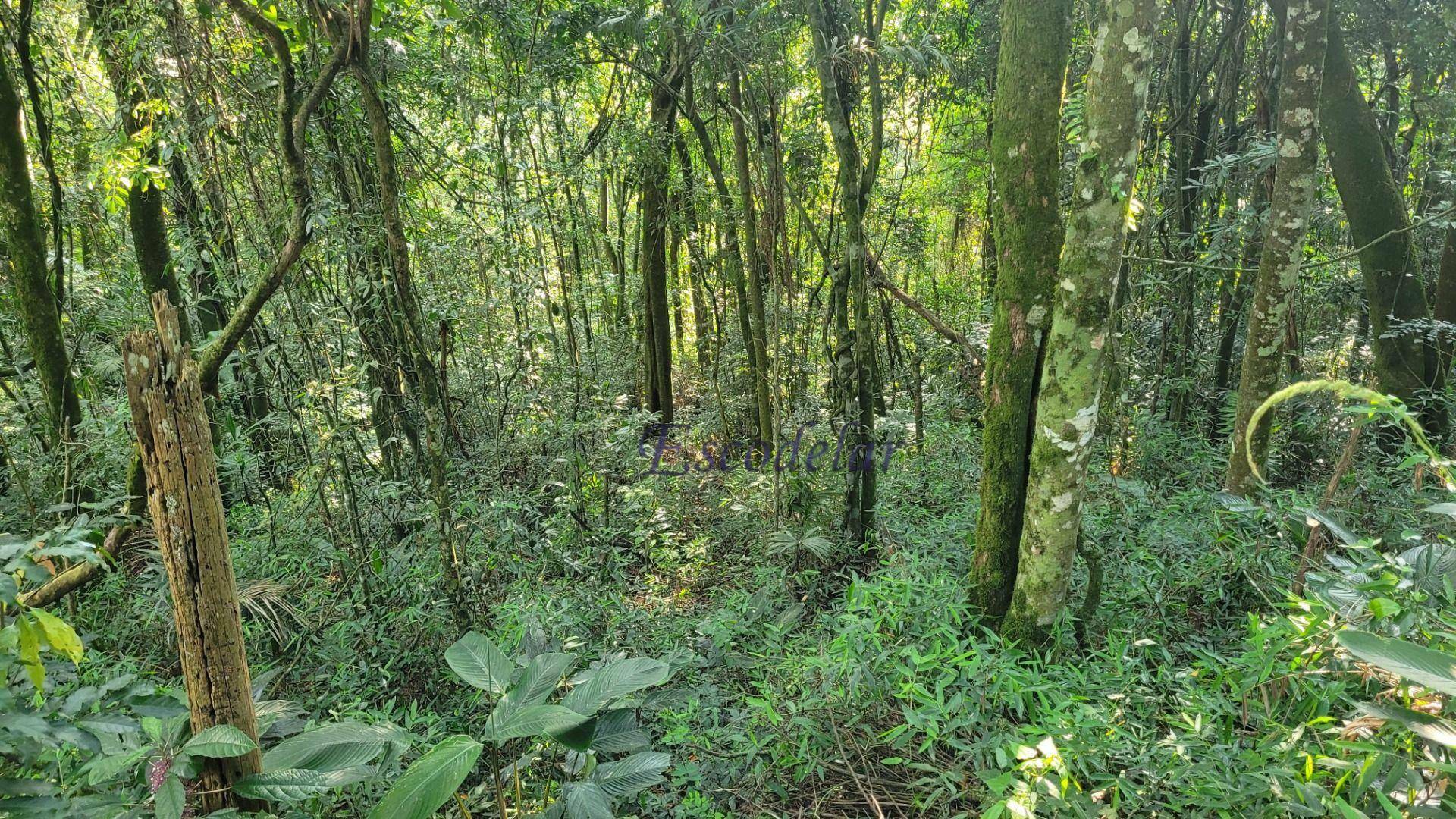 Loteamento e Condomínio à venda, 1325M2 - Foto 7