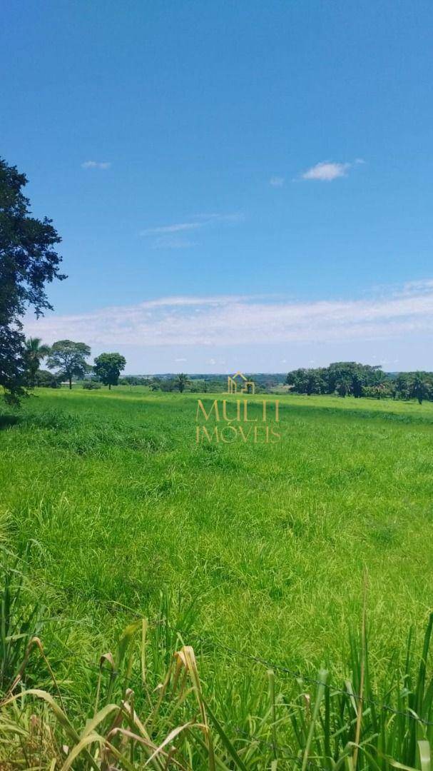 Fazenda à venda com 3 quartos, 1379400M2 - Foto 7