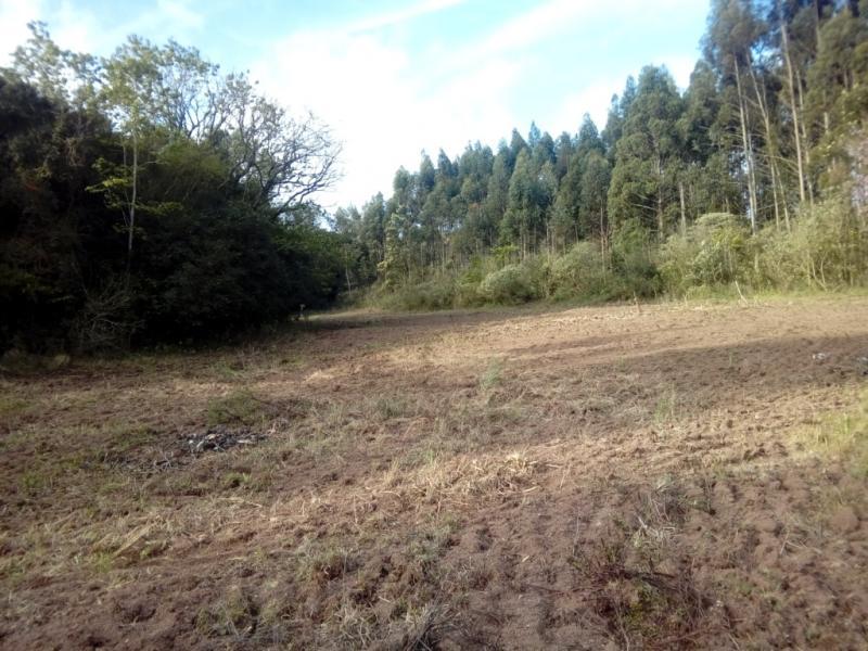 Sítio à venda com 1 quarto, 30000m² - Foto 12