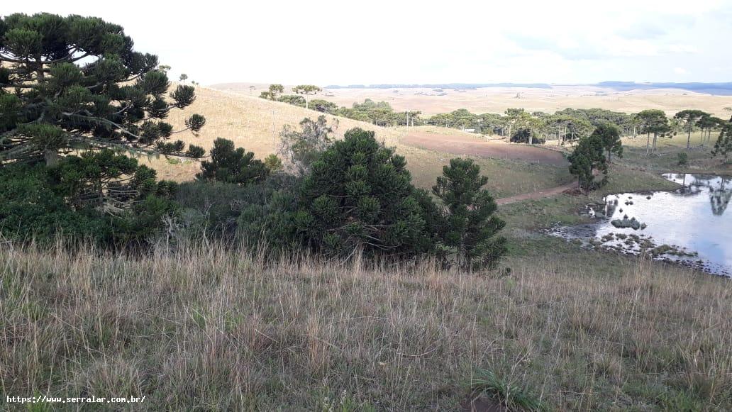 Fazenda à venda, 34m² - Foto 9