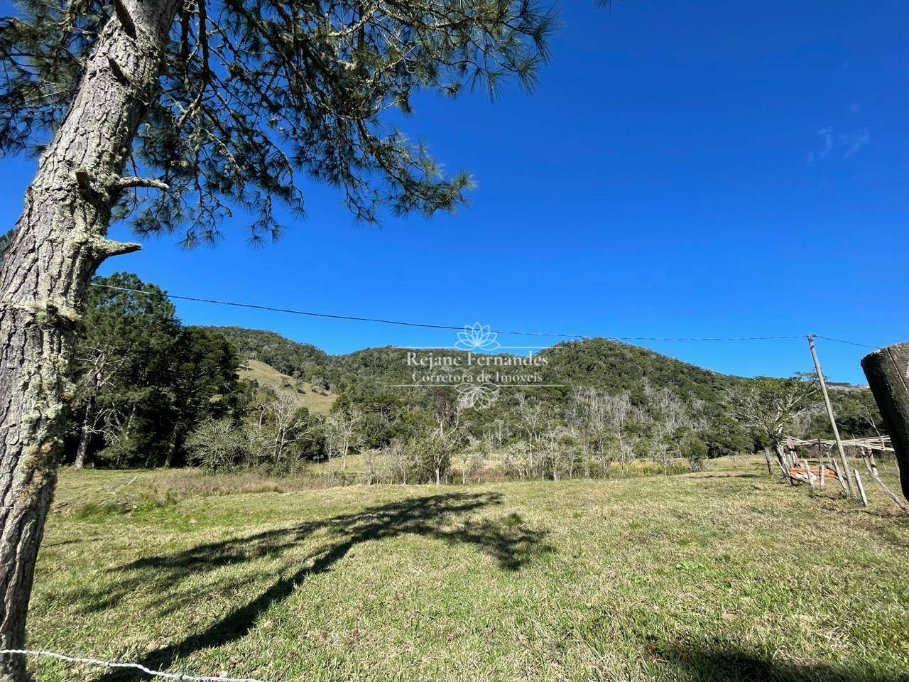 Terreno à venda, 40000M2 - Foto 1