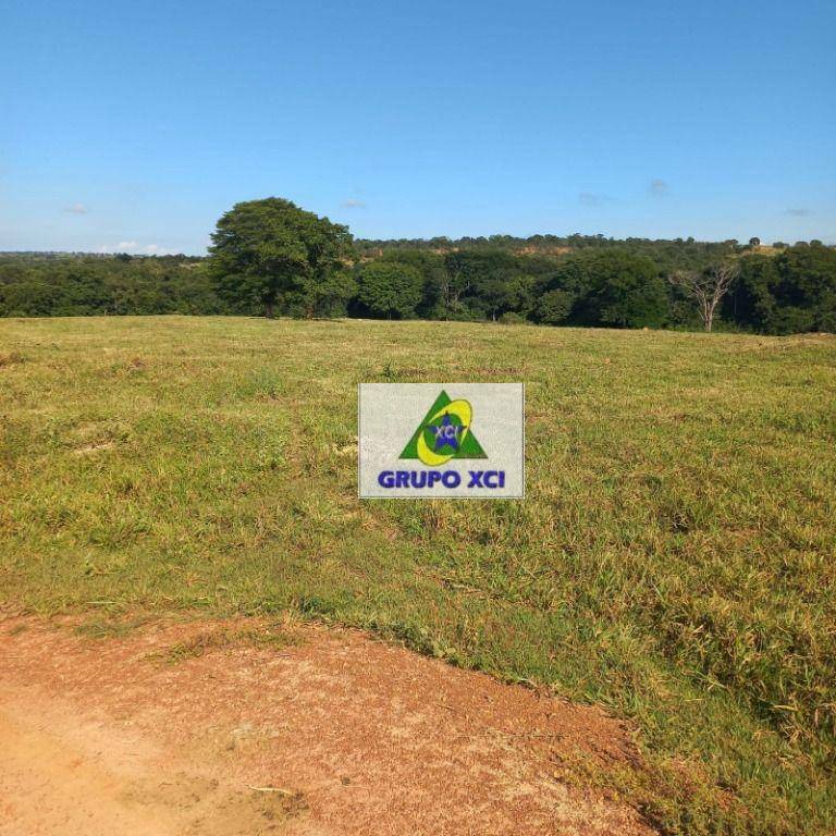 Fazenda à venda, 10000000M2 - Foto 10