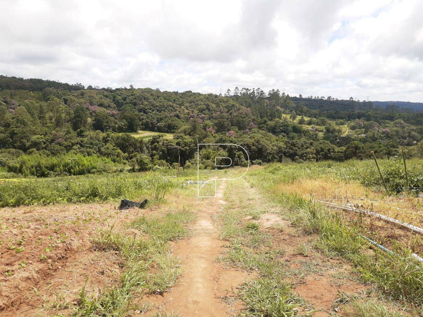 Terreno à venda, 39000M2 - Foto 16