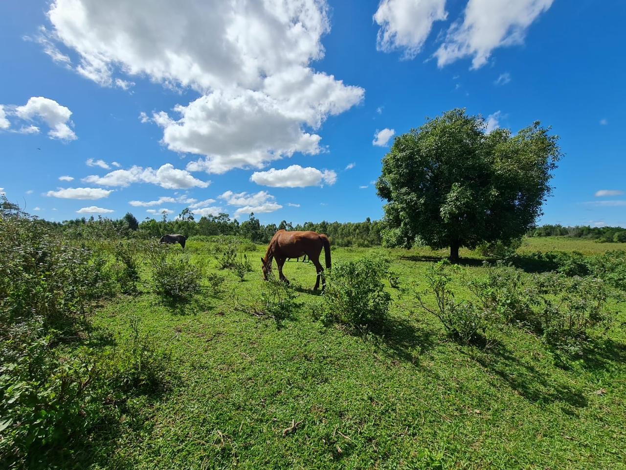 Fazenda à venda, 48400m² - Foto 46