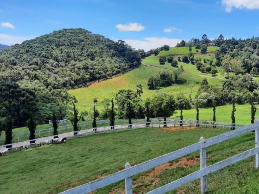 Fazenda à venda com 6 quartos, 1000m² - Foto 4