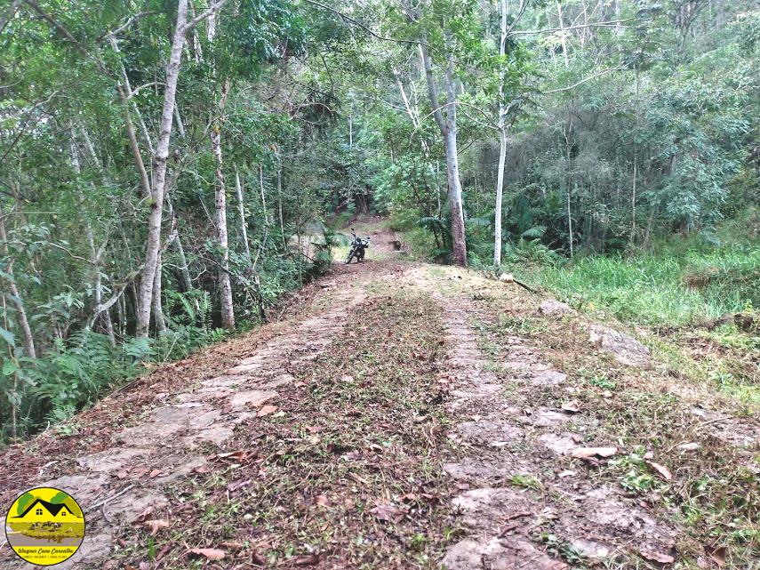 Fazenda à venda com 3 quartos, 30m² - Foto 10