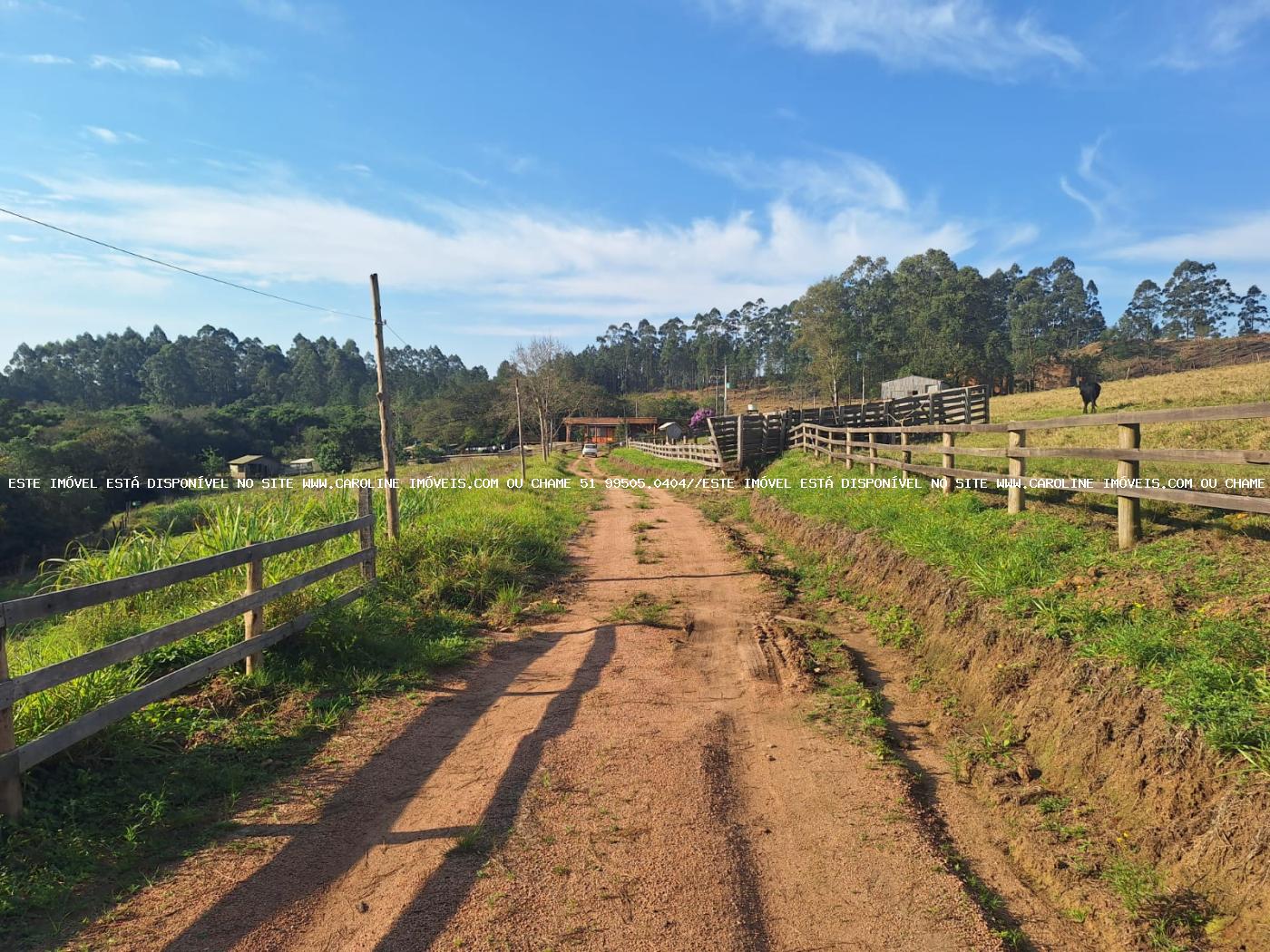 Sítio à venda, 80000m² - Foto 26