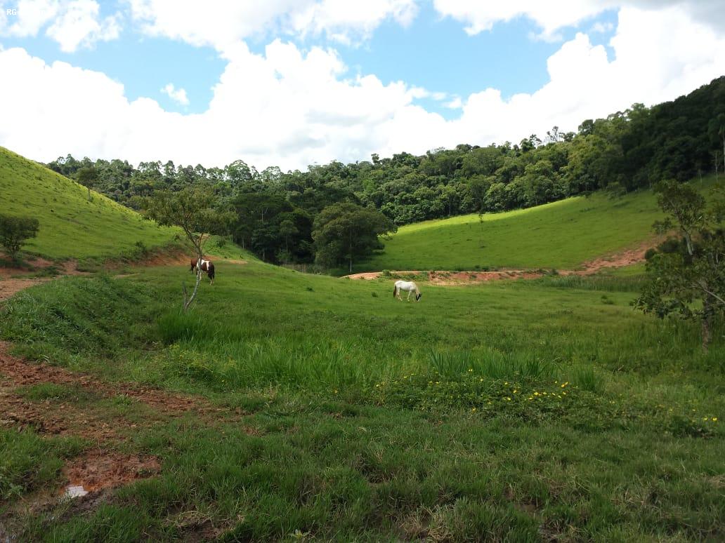 Fazenda à venda com 1 quarto, 120m² - Foto 17
