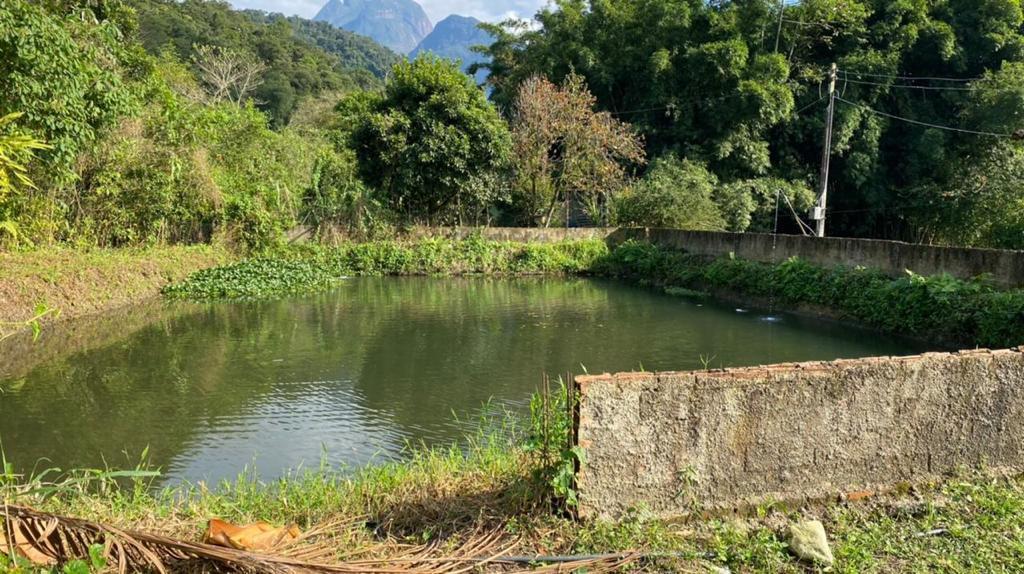 Chácara à venda com 3 quartos, 12000m² - Foto 13