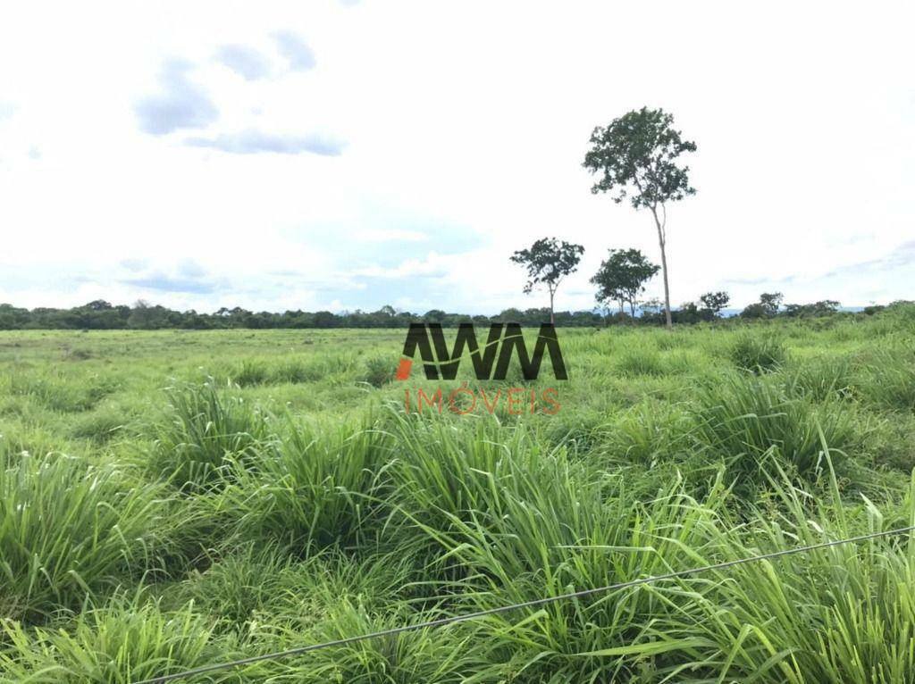 Fazenda à venda, 64372000M2 - Foto 18