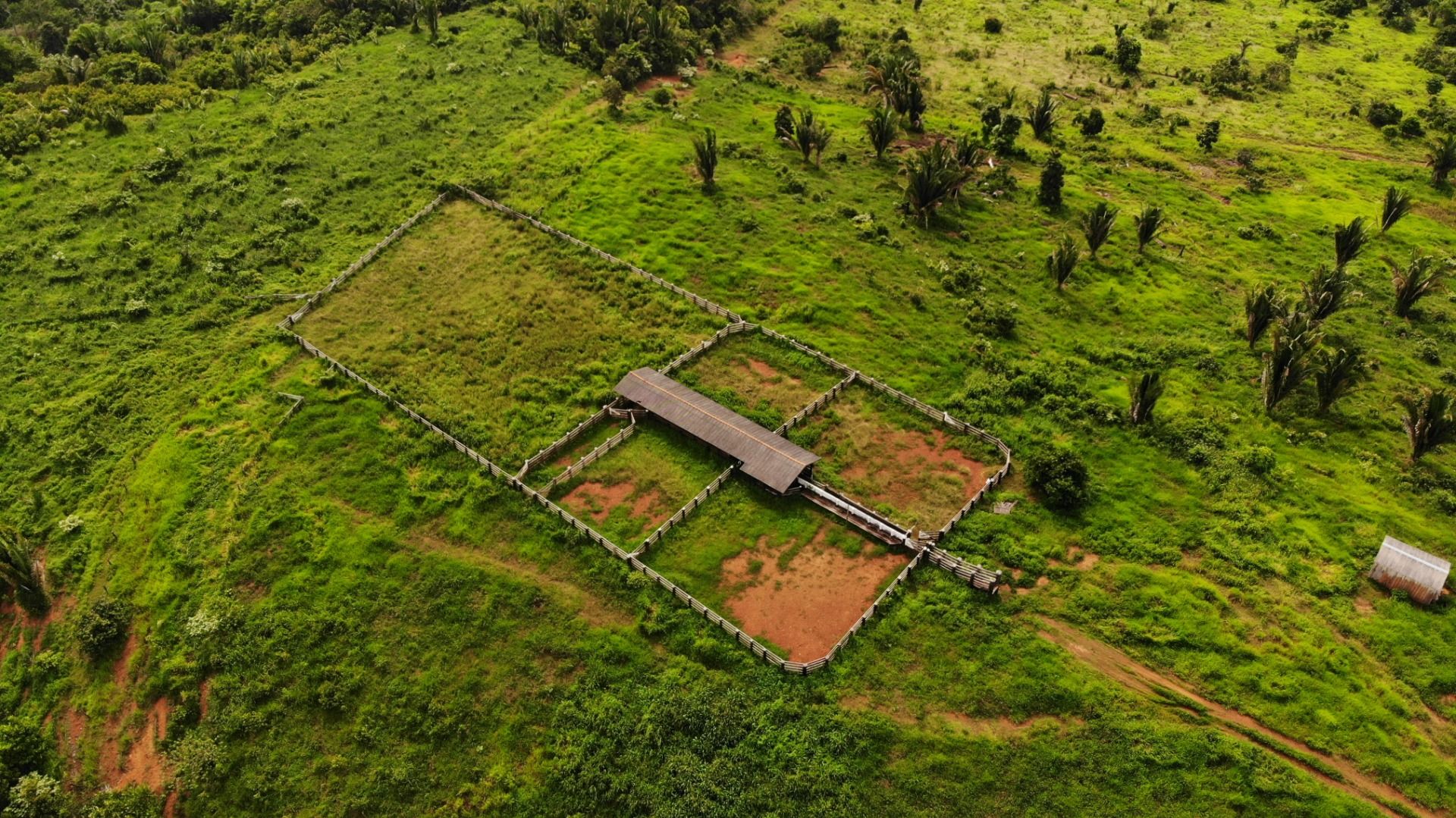 Fazenda à venda, 13648800M2 - Foto 17