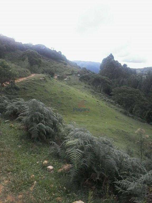 Sítio, 16 hectares - Foto 5