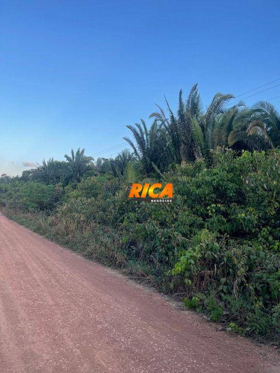 Fazenda-Sítio-Chácara, 100 hectares - Foto 3