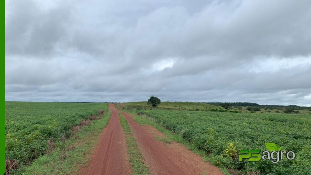 Fazenda à venda, 43530000M2 - Foto 6